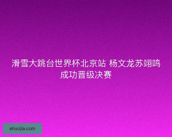 滑雪大跳台世界杯北京站 杨文龙苏翊鸣成功晋级决赛