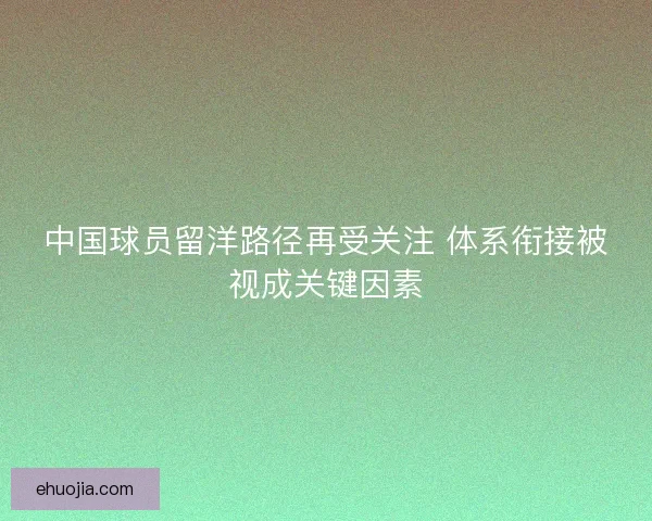 中国球员留洋路径再受关注 体系衔接被视成关键因素